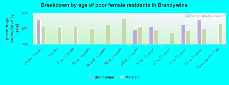 Breakdown by age of poor female residents in Brandywine