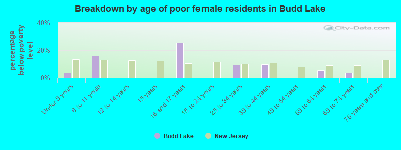 Breakdown by age of poor female residents in Budd Lake