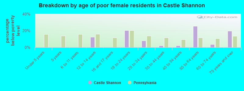 Breakdown by age of poor female residents in Castle Shannon