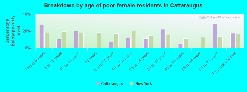 Breakdown by age of poor female residents in Cattaraugus