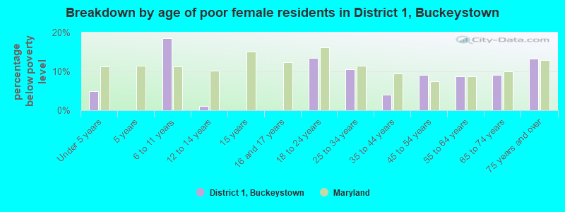 Breakdown by age of poor female residents in District 1, Buckeystown