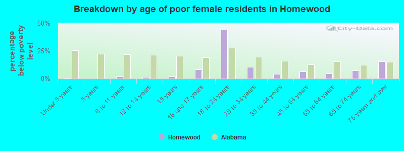 Breakdown by age of poor female residents in Homewood