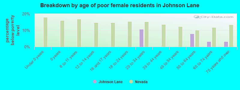 Breakdown by age of poor female residents in Johnson Lane