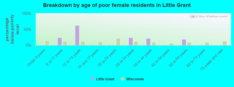 Breakdown by age of poor female residents in Little Grant