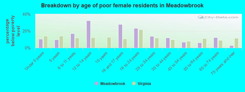 Breakdown by age of poor female residents in Meadowbrook