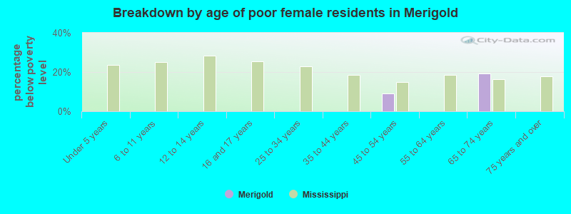 Breakdown by age of poor female residents in Merigold