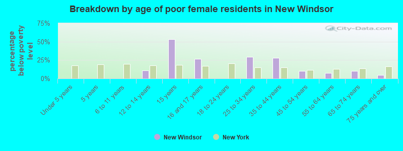 Breakdown by age of poor female residents in New Windsor