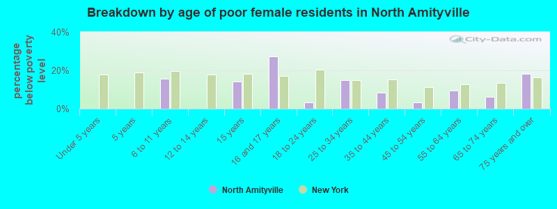 Breakdown by age of poor female residents in North Amityville