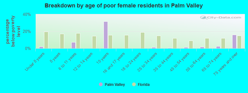 Breakdown by age of poor female residents in Palm Valley