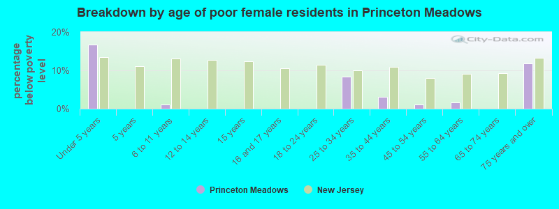 Breakdown by age of poor female residents in Princeton Meadows