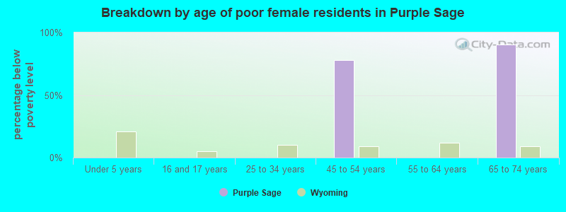 Breakdown by age of poor female residents in Purple Sage