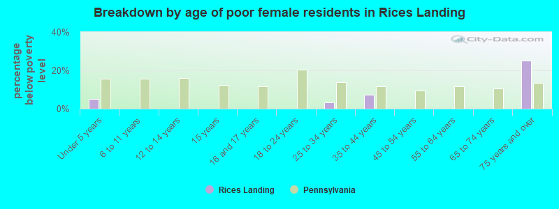 Breakdown by age of poor female residents in Rices Landing