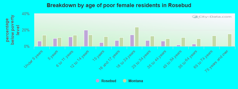 Breakdown by age of poor female residents in Rosebud