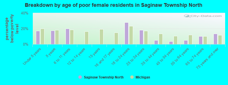 Breakdown by age of poor female residents in Saginaw Township North