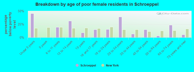Breakdown by age of poor female residents in Schroeppel