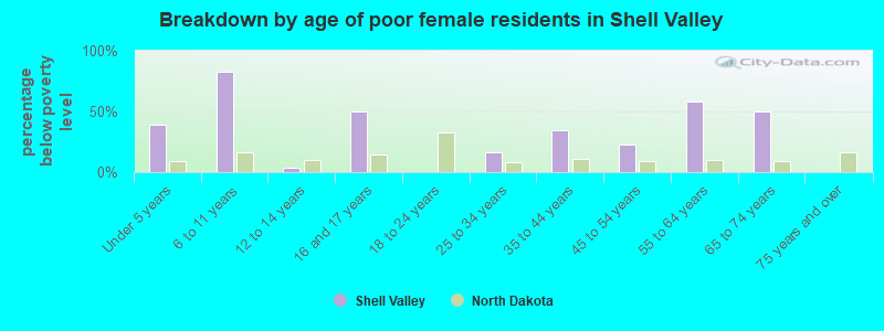 Breakdown by age of poor female residents in Shell Valley