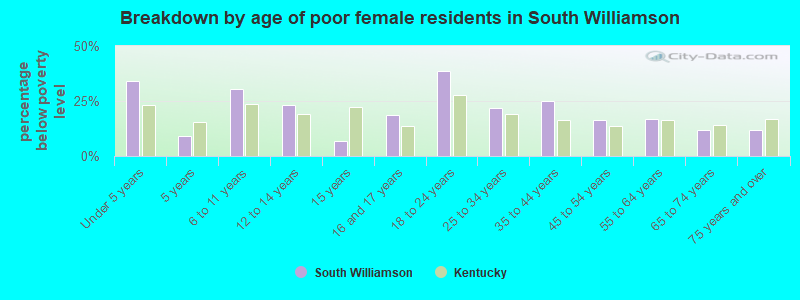 Breakdown by age of poor female residents in South Williamson