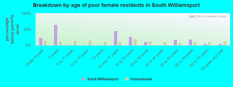 Breakdown by age of poor female residents in South Williamsport
