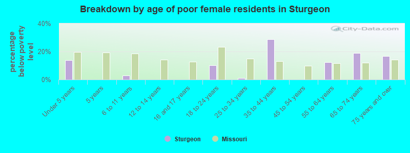 Breakdown by age of poor female residents in Sturgeon