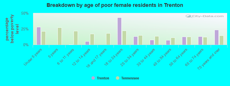 Breakdown by age of poor female residents in Trenton