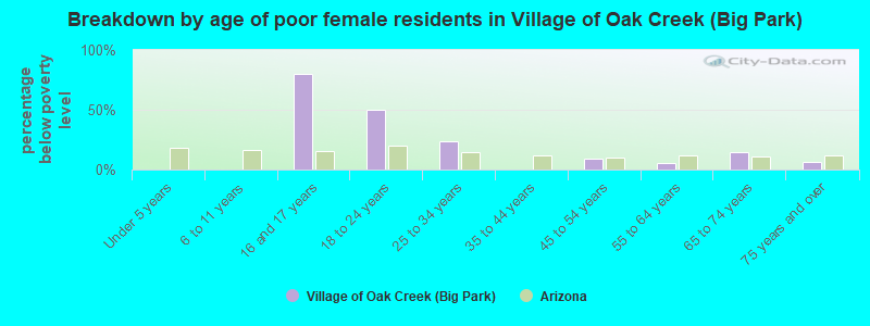 Breakdown by age of poor female residents in Village of Oak Creek (Big Park)