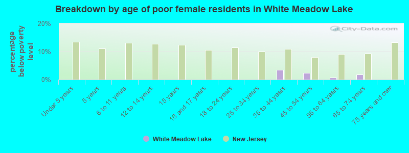 Breakdown by age of poor female residents in White Meadow Lake