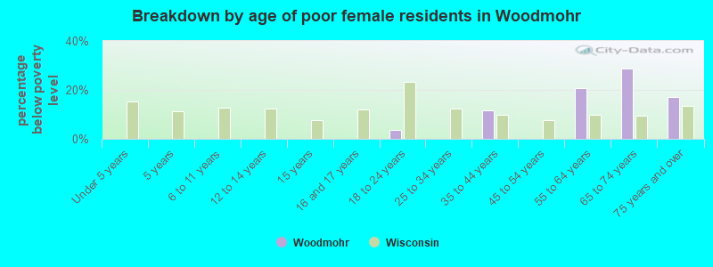 Breakdown by age of poor female residents in Woodmohr