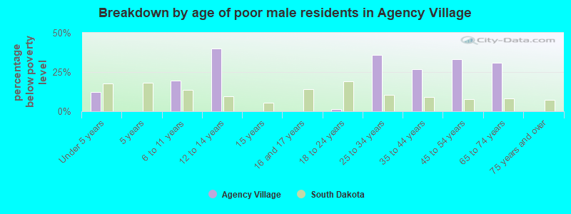 Breakdown by age of poor male residents in Agency Village