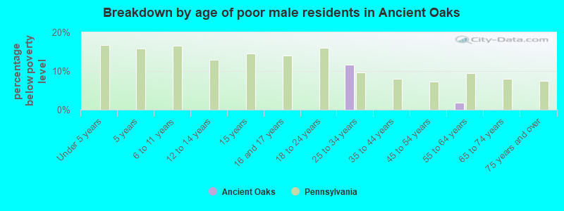 Breakdown by age of poor male residents in Ancient Oaks