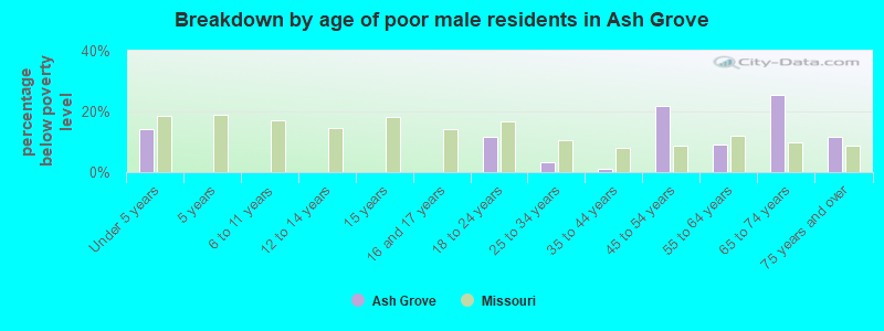 Breakdown by age of poor male residents in Ash Grove