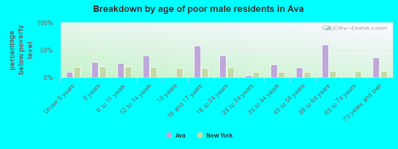 Breakdown by age of poor male residents in Ava