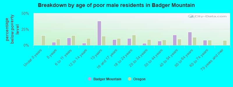 Breakdown by age of poor male residents in Badger Mountain