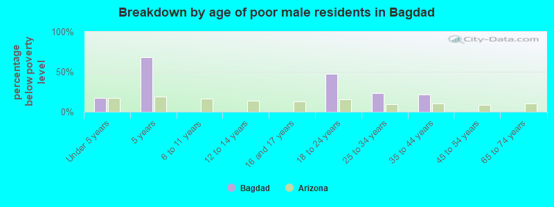 Breakdown by age of poor male residents in Bagdad