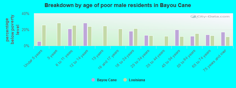Breakdown by age of poor male residents in Bayou Cane