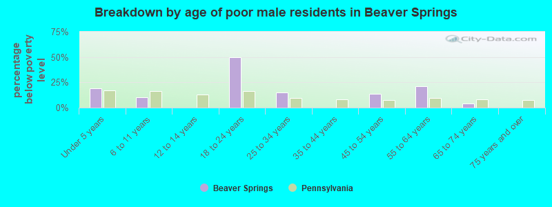 Breakdown by age of poor male residents in Beaver Springs