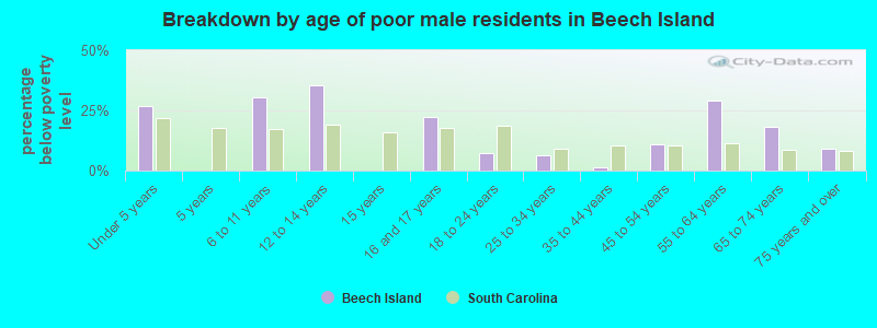 Breakdown by age of poor male residents in Beech Island