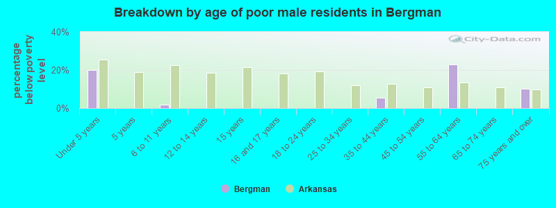 Breakdown by age of poor male residents in Bergman
