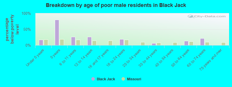 Breakdown by age of poor male residents in Black Jack
