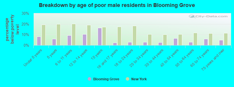 Breakdown by age of poor male residents in Blooming Grove