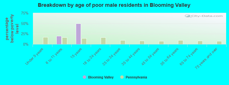 Breakdown by age of poor male residents in Blooming Valley