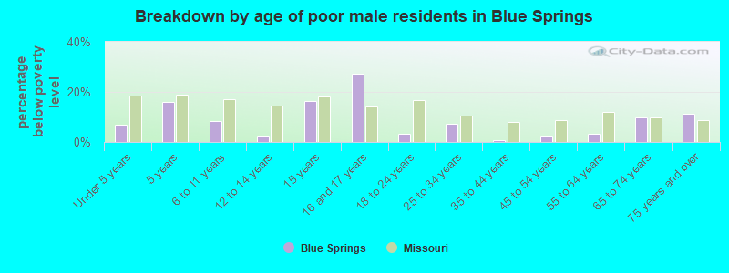Breakdown by age of poor male residents in Blue Springs