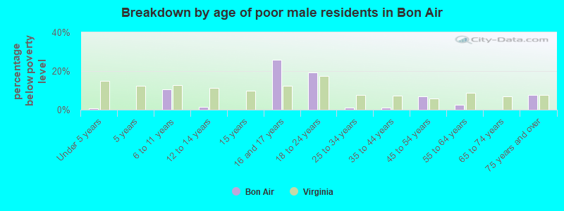 Breakdown by age of poor male residents in Bon Air
