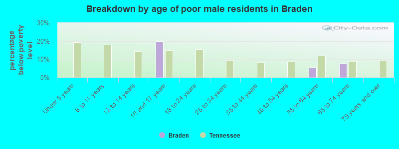 Breakdown by age of poor male residents in Braden