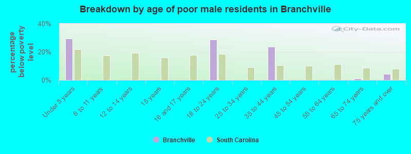 Breakdown by age of poor male residents in Branchville