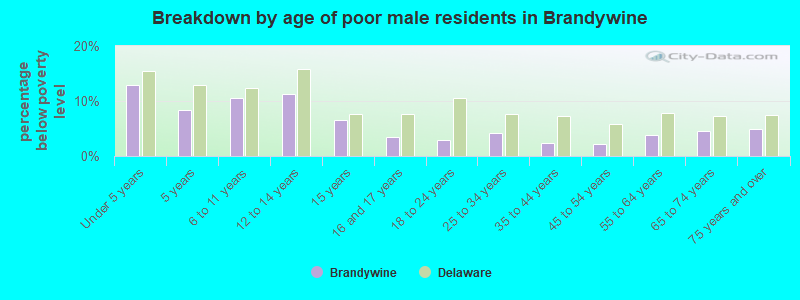 Breakdown by age of poor male residents in Brandywine