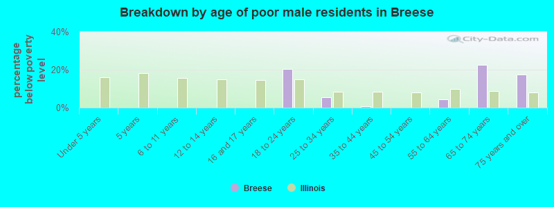 Breakdown by age of poor male residents in Breese