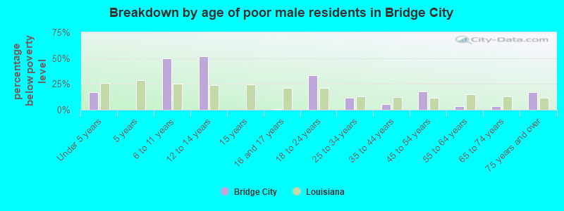 Breakdown by age of poor male residents in Bridge City