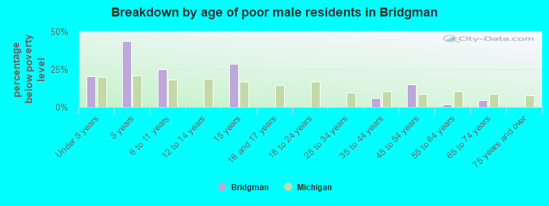 Breakdown by age of poor male residents in Bridgman