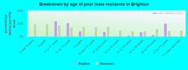 Breakdown by age of poor male residents in Brighton
