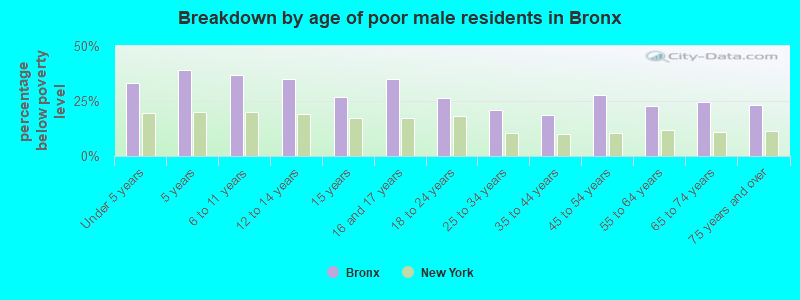 Breakdown by age of poor male residents in Bronx